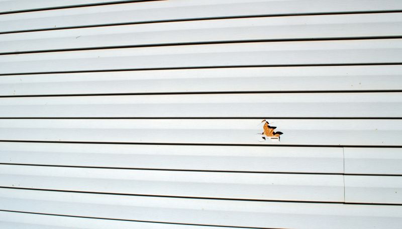 Assessment of Vinyl Siding Damage
